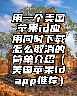用一个美国苹果id应用同时下载怎么取消的简单介绍（美国苹果idapp推荐）