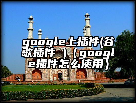 google上插件(谷歌插件 )（google插件怎么使用）