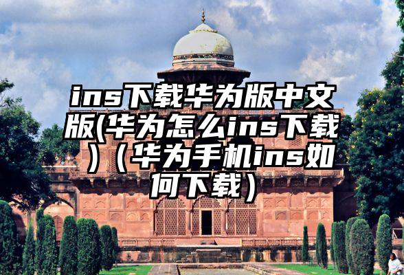 ins下载华为版中文版(华为怎么ins下载 )（华为手机ins如何下载）