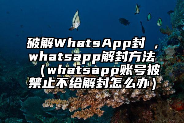 破解WhatsApp封鎖，whatsapp解封方法（whatsapp账号被禁止不给解封怎么办）