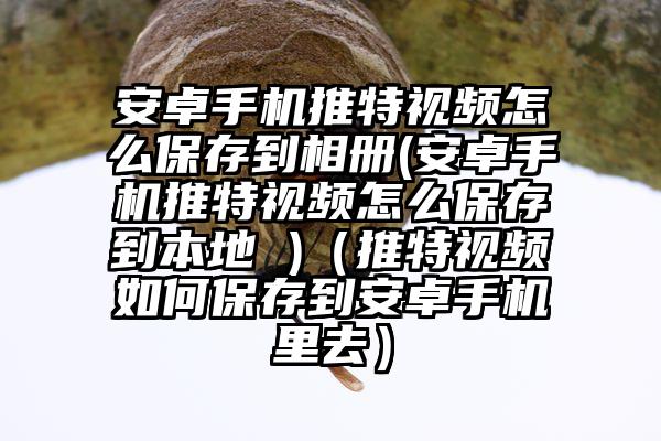 安卓手机推特视频怎么保存到相册(安卓手机推特视频怎么保存到本地 )（推特视频如何保存到安卓手机里去）
