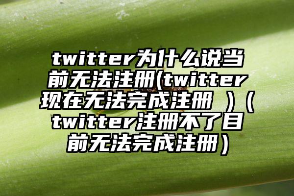 twitter为什么说当前无法注册(twitter现在无法完成注册 )（twitter注册不了目前无法完成注册）
