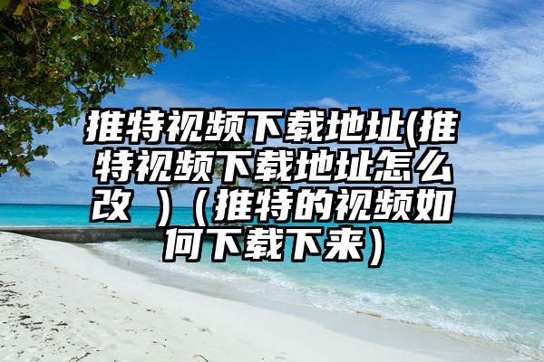 推特视频下载地址(推特视频下载地址怎么改 )（推特的视频如何下载下来）