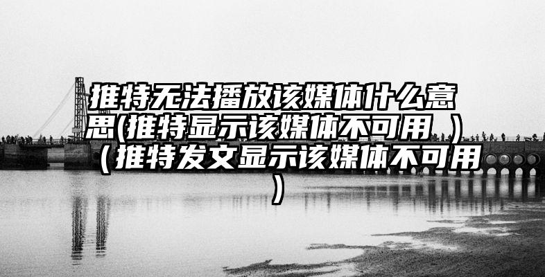 推特无法播放该媒体什么意思(推特显示该媒体不可用 )（推特发文显示该媒体不可用）
