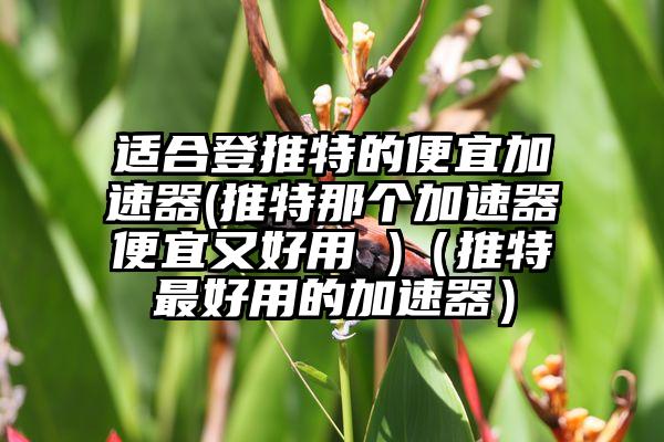 适合登推特的便宜加速器(推特那个加速器便宜又好用 )（推特最好用的加速器）