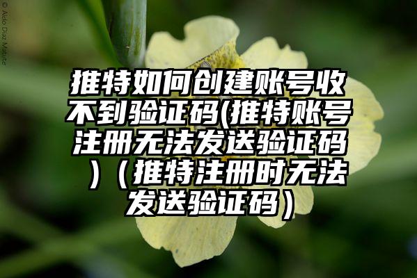 推特如何创建账号收不到验证码(推特账号注册无法发送验证码 )（推特注册时无法发送验证码）