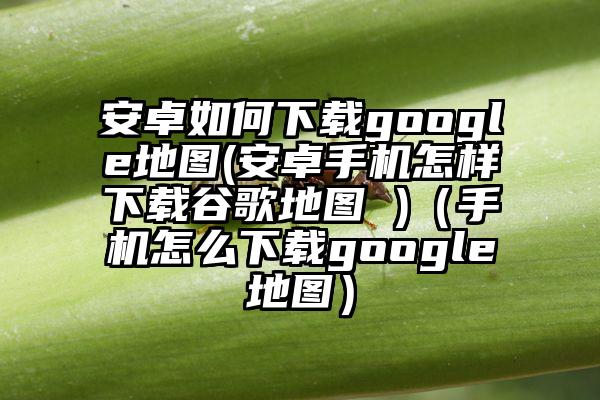 安卓如何下载google地图(安卓手机怎样下载谷歌地图 )（手机怎么下载google地图）