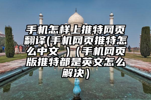 手机怎样上推特网页翻译(手机网页推特怎么中文 )（手机网页版推特都是英文怎么解决）