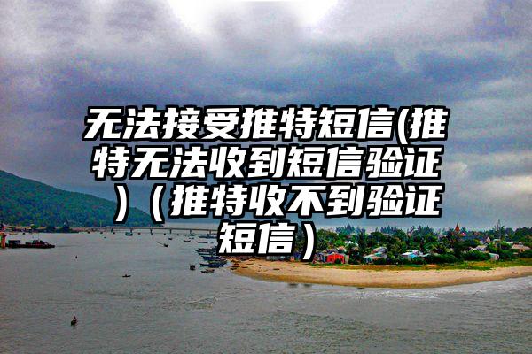 无法接受推特短信(推特无法收到短信验证 )（推特收不到验证短信）