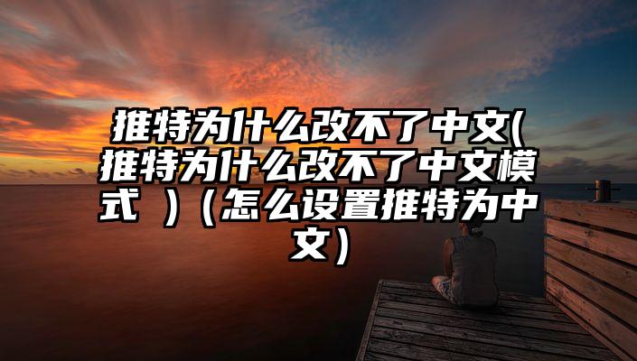 推特为什么改不了中文(推特为什么改不了中文模式 )（怎么设置推特为中文）