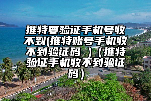 推特要验证手机号收不到(推特账号手机收不到验证码 )（推特验证手机收不到验证码）