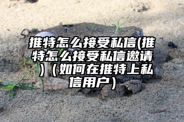推特怎么接受私信(推特怎么接受私信邀请 )（如何在推特上私信用户）