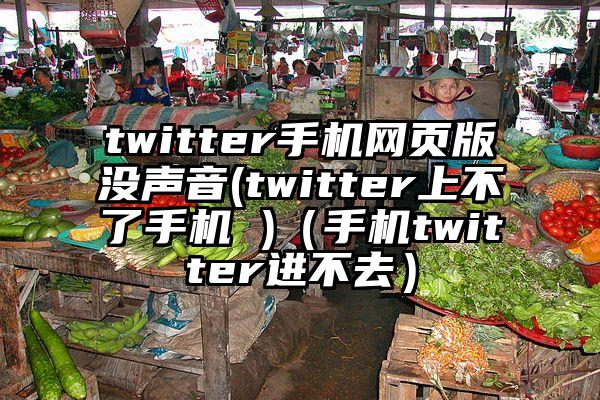 twitter手机网页版没声音(twitter上不了手机 )（手机twitter进不去）