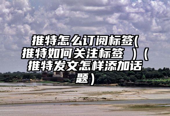 推特怎么订阅标签(推特如何关注标签 )（推特发文怎样添加话题）