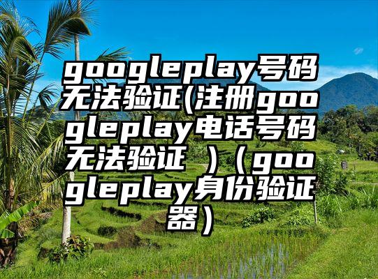 googleplay号码无法验证(注册googleplay电话号码无法验证 )（googleplay身份验证器）