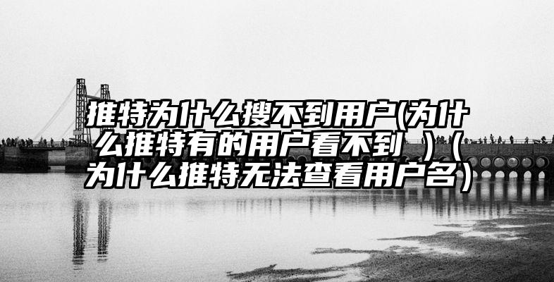 推特为什么搜不到用户(为什么推特有的用户看不到 )（为什么推特无法查看用户名）