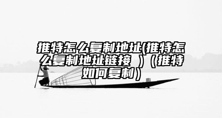 推特怎么复制地址(推特怎么复制地址链接 )（推特如何复制）