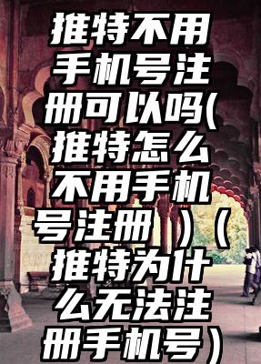 推特不用手机号注册可以吗(推特怎么不用手机号注册 )（推特为什么无法注册手机号）