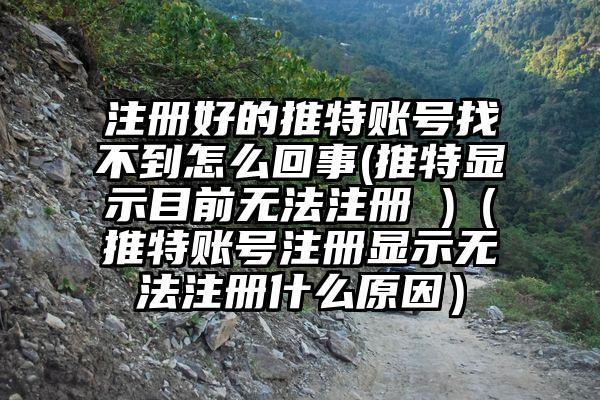 注册好的推特账号找不到怎么回事(推特显示目前无法注册 )（推特账号注册显示无法注册什么原因）