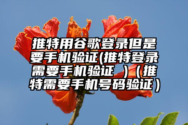 推特用谷歌登录但是要手机验证(推特登录需要手机验证 )（推特需要手机号码验证）