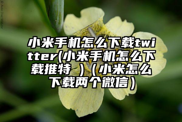小米手机怎么下载twitter(小米手机怎么下载推特 )（小米怎么下载两个微信）