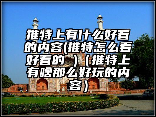 推特上有什么好看的内容(推特怎么看好看的 )（推特上有啥那么好玩的内容）