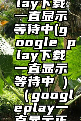 googleplay下载一直显示等待中(google play下载一直显示等待中 )（googleplay一直显示正在等