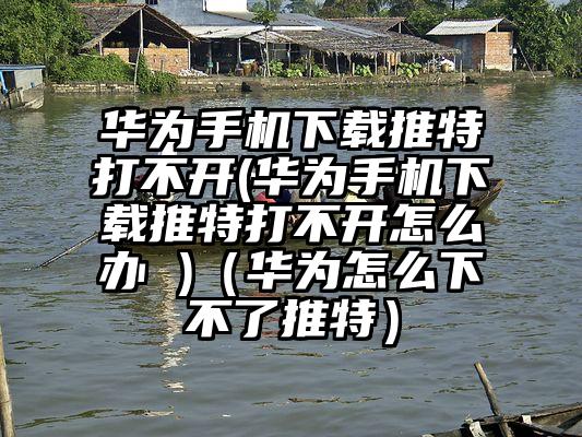 华为手机下载推特打不开(华为手机下载推特打不开怎么办 )（华为怎么下不了推特）