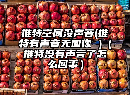 推特空间没声音(推特有声音无图像 )（推特没有声音了怎么回事）