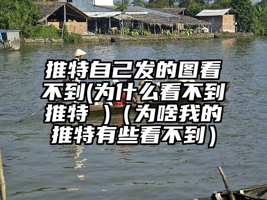 推特自己发的图看不到(为什么看不到推特 )（为啥我的推特有些看不到）