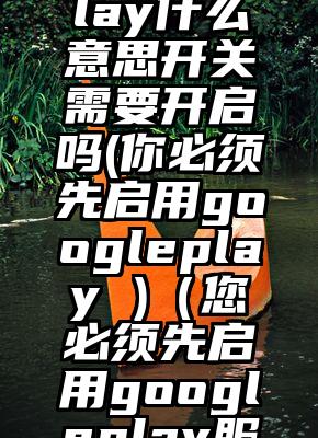 googleplay什么意思开关需要开启吗(你必须先启用googleplay )（您必须先启用googleplay服务）