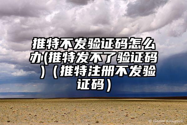 推特不发验证码怎么办(推特发不了验证码 )（推特注册不发验证码）