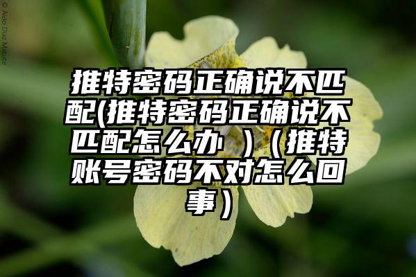 推特密码正确说不匹配(推特密码正确说不匹配怎么办 )（推特账号密码不对怎么回事）