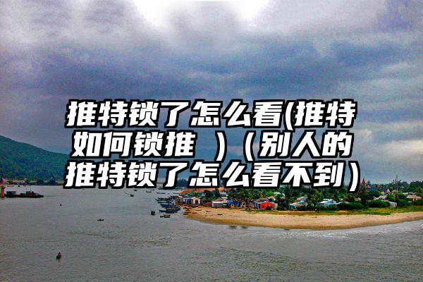 推特锁了怎么看(推特如何锁推 )（别人的推特锁了怎么看不到）