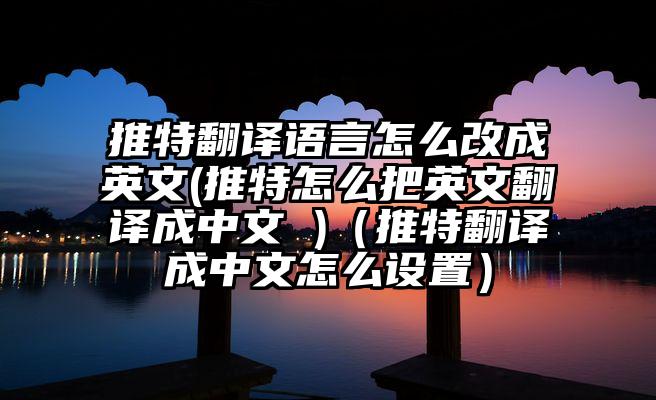 推特翻译语言怎么改成英文(推特怎么把英文翻译成中文 )（推特翻译成中文怎么设置）