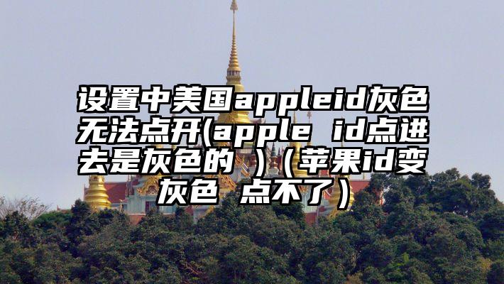 设置中美国appleid灰色无法点开(apple id点进去是灰色的 )（苹果id变灰色 点不了）