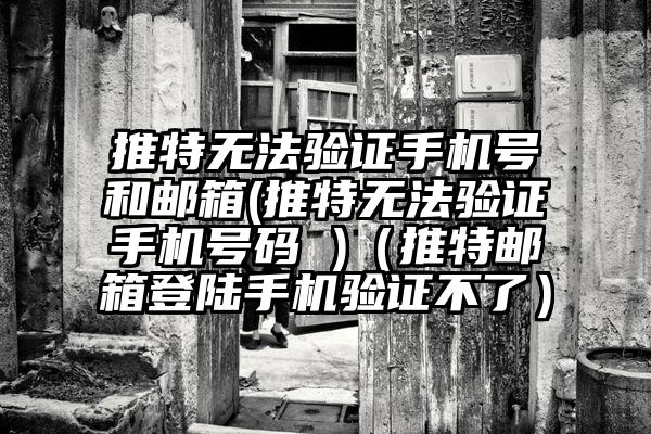 推特无法验证手机号和邮箱(推特无法验证手机号码 )（推特邮箱登陆手机验证不了）