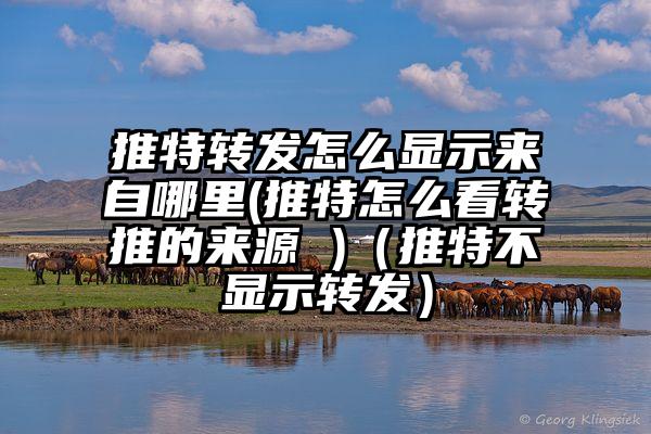 推特转发怎么显示来自哪里(推特怎么看转推的来源 )（推特不显示转发）