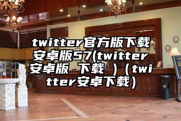twitter官方版下载安卓版57(twitter安卓版 下载 )（twitter安卓下载）