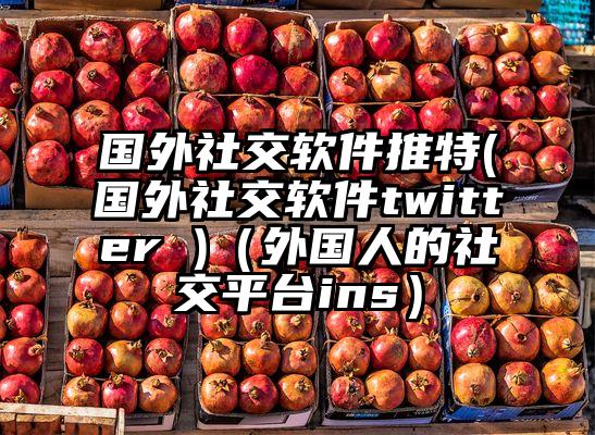 国外社交软件推特(国外社交软件twitter )（外国人的社交平台ins）