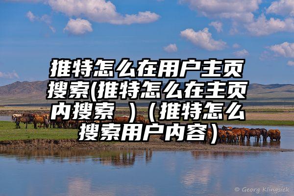 推特怎么在用户主页搜索(推特怎么在主页内搜索 )（推特怎么搜索用户内容）