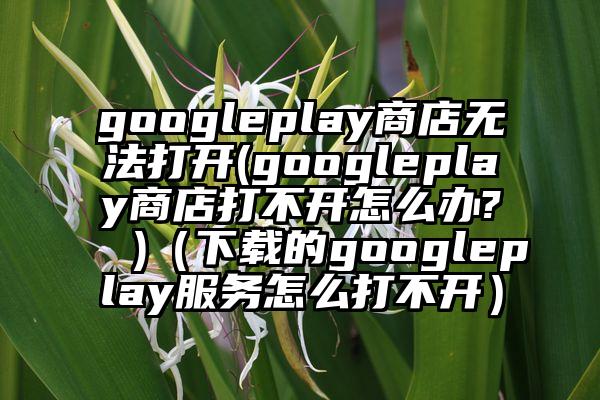 googleplay商店无法打开(googleplay商店打不开怎么办? )（下载的googleplay服务怎么打不开）