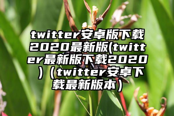 twitter安卓版下载2020最新版(twitter最新版下载2020 )（twitter安卓下载最新版本）