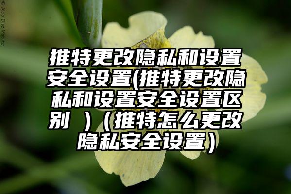 推特更改隐私和设置安全设置(推特更改隐私和设置安全设置区别 )（推特怎么更改隐私安全设置）