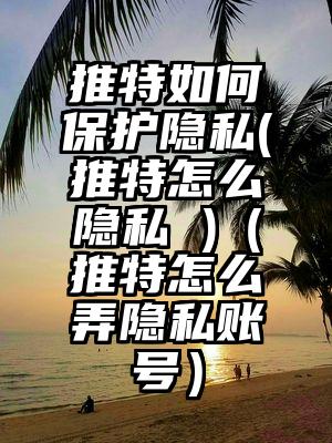 推特如何保护隐私(推特怎么隐私 )（推特怎么弄隐私账号）