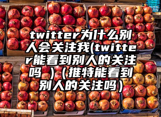 twitter为什么别人会关注我(twitter能看到别人的关注吗 )（推特能看到别人的关注吗）