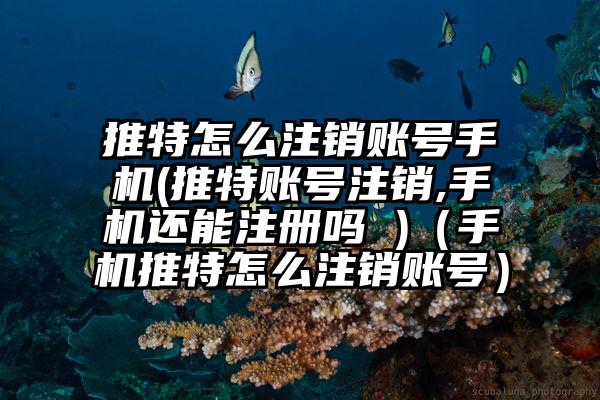推特怎么注销账号手机(推特账号注销,手机还能注册吗 )（手机推特怎么注销账号）
