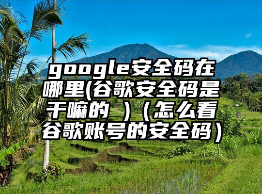 google安全码在哪里(谷歌安全码是干嘛的 )（怎么看谷歌账号的安全码）