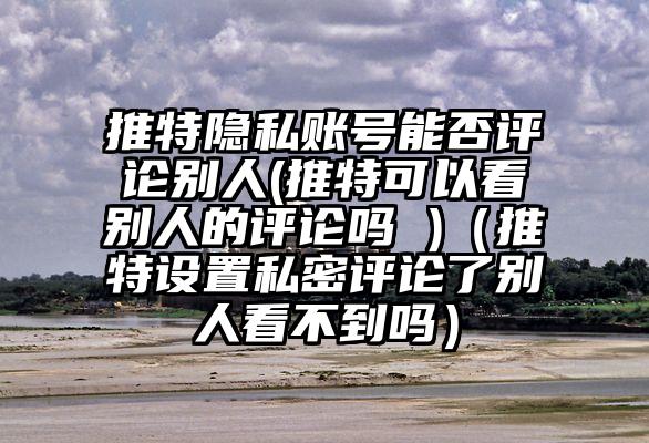 推特隐私账号能否评论别人(推特可以看别人的评论吗 )（推特设置私密评论了别人看不到吗）