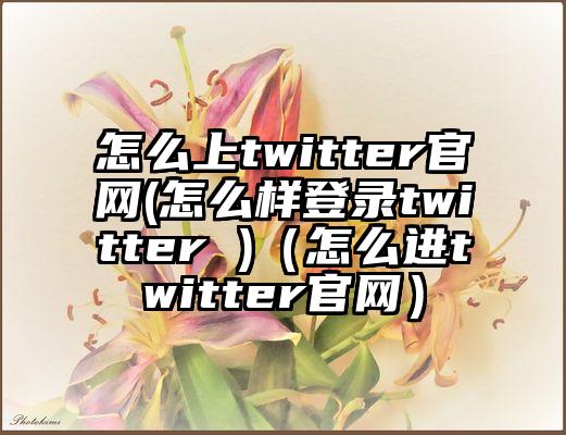 怎么上twitter官网(怎么样登录twitter )（怎么进twitter官网）